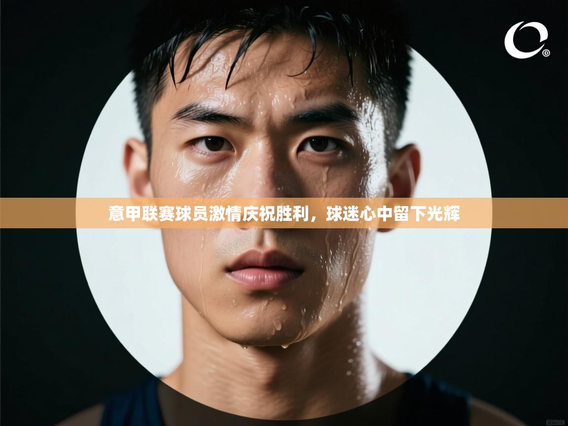 意甲联赛球员激情庆祝胜利，球迷心中留下光辉  第1张